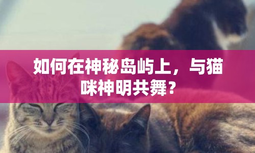 如何在神秘島嶼上，與貓咪神明共舞？