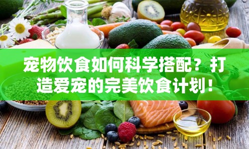 寵物飲食如何科學(xué)搭配？打造愛寵的完美飲食計(jì)劃！