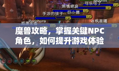 魔獸攻略，掌握關(guān)鍵NPC角色，如何提升游戲體驗？