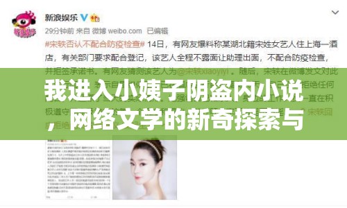我進(jìn)入小姨子陰盜內(nèi)小說，網(wǎng)絡(luò)文學(xué)的新奇探索與反思