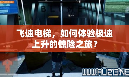 飛速電梯，如何體驗極速上升的驚險之旅？