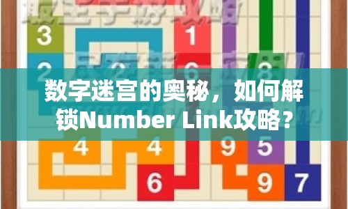 數(shù)字迷宮的奧秘，如何解鎖Number Link攻略？