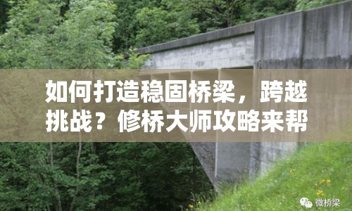 如何打造穩(wěn)固橋梁，跨越挑戰(zhàn)？修橋大師攻略來幫你！