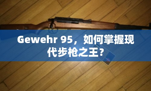 Gewehr 95，如何掌握現(xiàn)代步槍之王？