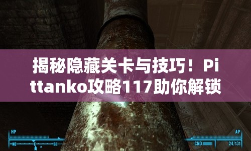 揭秘隱藏關(guān)卡與技巧！Pittanko攻略117助你解鎖游戲新境界？