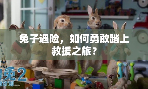 兔子遇險，如何勇敢踏上救援之旅？