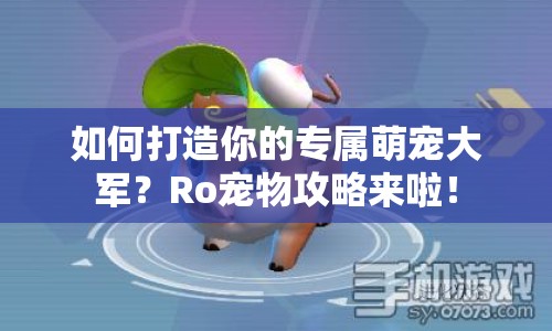 如何打造你的專屬萌寵大軍？Ro寵物攻略來(lái)啦！
