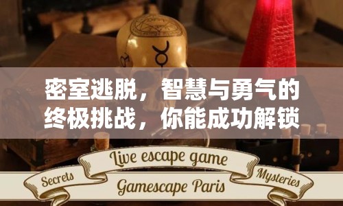 密室逃脫，智慧與勇氣的終極挑戰(zhàn)，你能成功解鎖嗎？