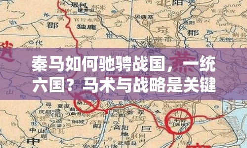 秦馬如何馳騁戰(zhàn)國，一統(tǒng)六國？馬術與戰(zhàn)略是關鍵！