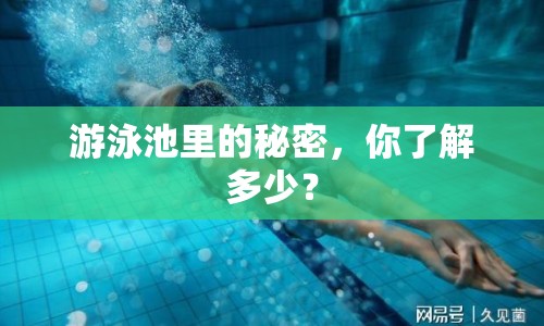 游泳池里的秘密，你了解多少？