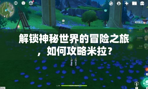 解鎖神秘世界的冒險(xiǎn)之旅，如何攻略米拉？