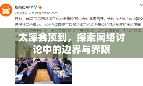 太深會(huì)頂?shù)剑剿骶W(wǎng)絡(luò)討論中的邊界與界限