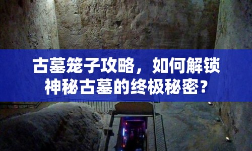 古墓籠子攻略，如何解鎖神秘古墓的終極秘密？