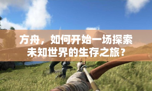 方舟，如何開始一場探索未知世界的生存之旅？