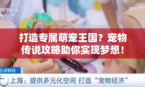 打造專屬萌寵王國？寵物傳說攻略助你實現(xiàn)夢想！