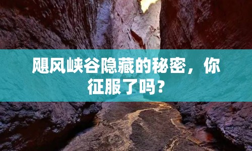 颶風峽谷隱藏的秘密，你征服了嗎？