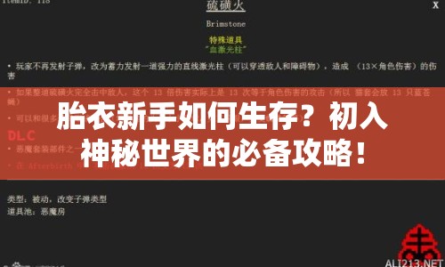 胎衣新手如何生存？初入神秘世界的必備攻略！