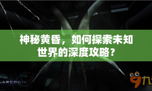 神秘黃昏，如何探索未知世界的深度攻略？