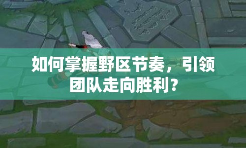 如何掌握野區(qū)節(jié)奏，引領(lǐng)團隊走向勝利？