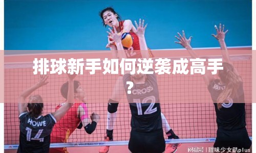 排球新手如何逆襲成高手？