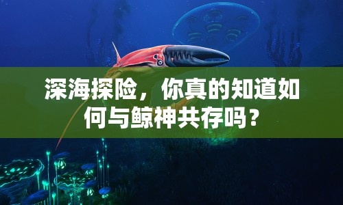 深海探險，你真的知道如何與鯨神共存嗎？