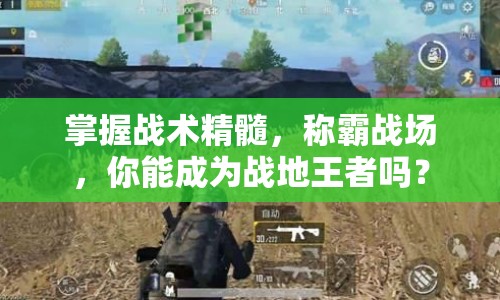 掌握戰(zhàn)術(shù)精髓，稱霸戰(zhàn)場，你能成為戰(zhàn)地王者嗎？