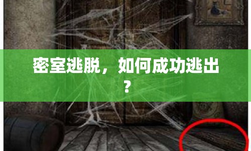 密室逃脫，如何成功逃出？