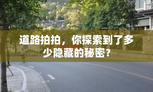 道路拍拍，你探索到了多少隱藏的秘密？