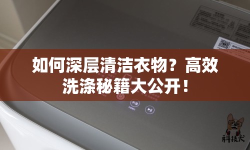 如何深層清潔衣物？高效洗滌秘籍大公開！