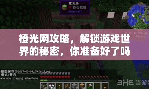 橙光網(wǎng)攻略，解鎖游戲世界的秘密，你準備好了嗎？