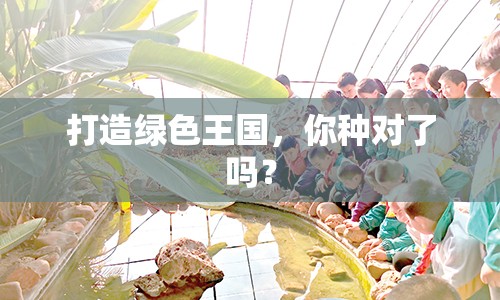 打造綠色王國(guó)，你種對(duì)了嗎？