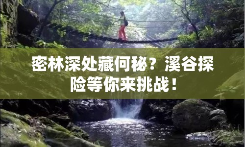 密林深處藏何秘？溪谷探險等你來挑戰(zhàn)！