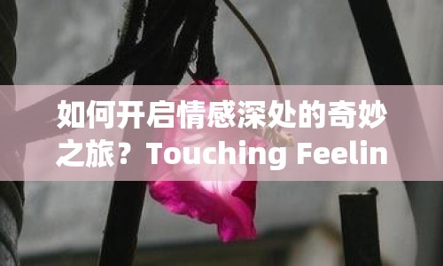 如何開啟情感深處的奇妙之旅？Touching Feeling攻略揭秘！