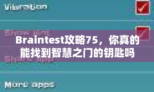 Braintest攻略75，你真的能找到智慧之門的鑰匙嗎？