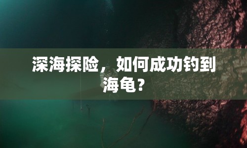 深海探險(xiǎn)，如何成功釣到海龜？