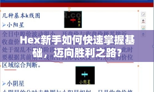 Hex新手如何快速掌握基礎(chǔ)，邁向勝利之路？