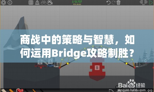 商戰(zhàn)中的策略與智慧，如何運用Bridge攻略制勝？