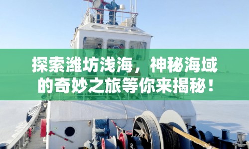探索濰坊淺海，神秘海域的奇妙之旅等你來揭秘！