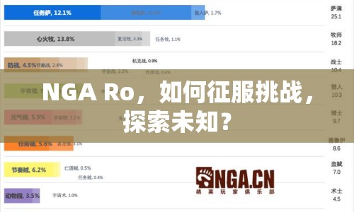 NGA Ro，如何征服挑戰(zhàn)，探索未知？