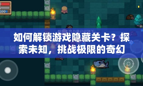 如何解鎖游戲隱藏關(guān)卡？探索未知，挑戰(zhàn)極限的奇幻之旅等你來(lái)揭秘！