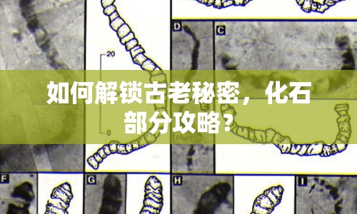 如何解鎖古老秘密，化石部分攻略？