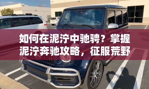 如何在泥濘中馳騁？掌握泥濘奔馳攻略，征服荒野！