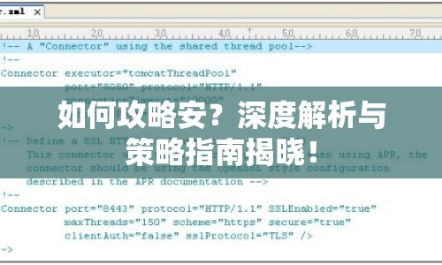 如何攻略安？深度解析與策略指南揭曉！