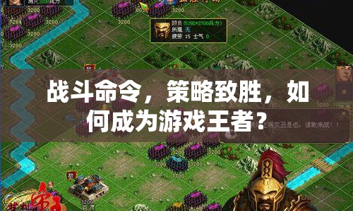 戰(zhàn)斗命令，策略致勝，如何成為游戲王者？