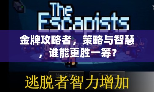 金牌攻略者，策略與智慧，誰(shuí)能更勝一籌？