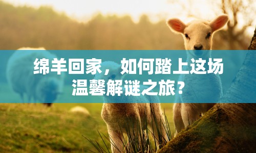 綿羊回家，如何踏上這場溫馨解謎之旅？