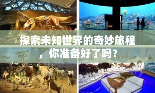 探索未知世界的奇妙旅程，你準備好了嗎？