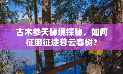 古木參天秘境探秘，如何征服征途暮云春樹？