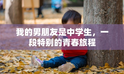 我的男朋友是中學生，一段特別的青春旅程