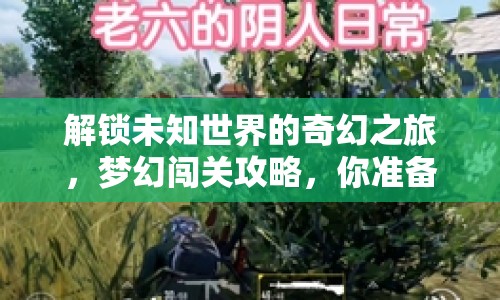 解鎖未知世界的奇幻之旅，夢幻闖關(guān)攻略，你準備好了嗎？